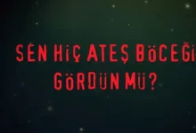 Sen Hiç Ateş Böceği Gördün mü?, Nisan Ayında Netflix'te