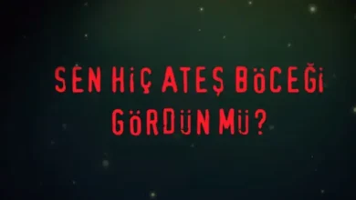 Sen Hiç Ateş Böceği Gördün mü?, Nisan Ayında Netflix'te