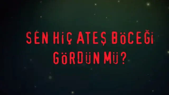Sen Asla Ateş Böceği Gördün mü?, Nisan Ayında Netflix'te 1 Sen Hiç Ateş Böceği Gördün mü?, Nisan Ayında Netflix'te