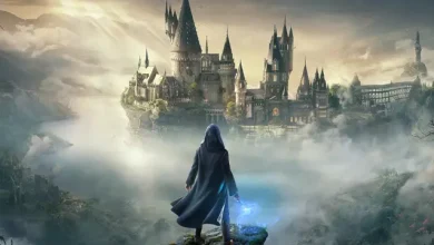 Hogwarts Legacy'nin Devam Oyunu Hakkında Açıklama