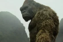 Netflix - Goril Kong'u Konu Alacak Skull Island Animesi