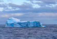 vivo X Fold 3 Pro'nun Kamera Örnekleri Ortaya Çıktı