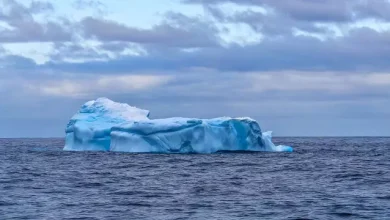 vivo X Fold 3 Pro'nun Kamera Örnekleri Ortaya Çıktı