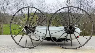 Bir YouTuber, Ters Gidebilen Tesla Model 3 Yaptı [Video]