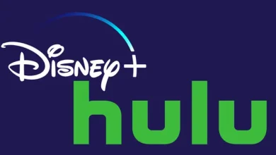 Disney, Disney+ ve Hulu'yu Ortak Platform Haline Getirebilir