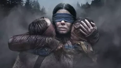 Bird Box Sevenlerin İzleyebileceği 10 Harika Film
