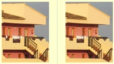 Bu Görseller Arasında Kaç Tane Fark Var?