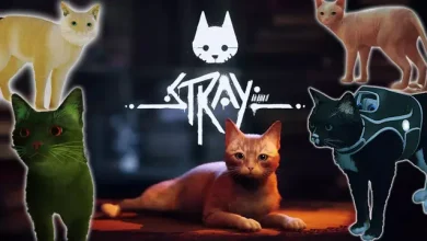 Stray, Modcuları Çıldırttı: CJ Bile Kedi Oldu!
