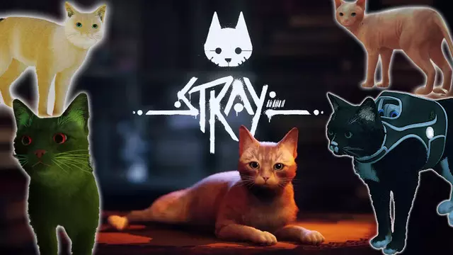 Stray, Modcuları Çıldırttı: CJ Bile Kedi Oldu!