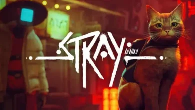 Stray, Oyunculardan En Yüksek Puanı Alan Oyun Oldu
