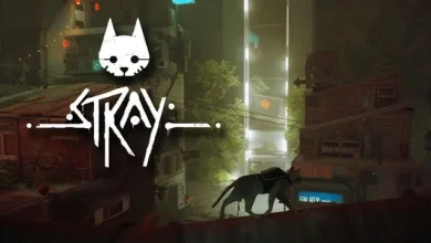Stray, PC’ye Çıktı: İşte Fiyatı ve Sistem Gereksinimleri