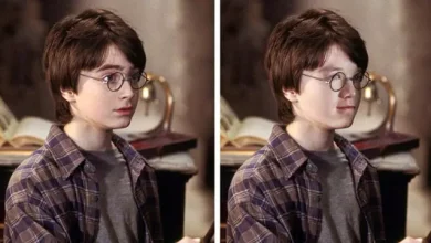 Neredeyse Harry Potter'da Oynayacak 22 Oyuncu