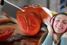 Steam'e Yemek Odaklı ASMR Oyunu Geliyor