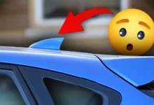 Otomobillerdeki Köpek Balığı Yüzgeci Ne İşe Yarar?