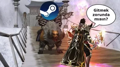 Bir Dönemin Efsanevi Oyunu Metin 2 Steam'den Kaldırılıyor