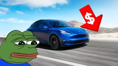 Tesla, Avrupa'ya Özel Bir 'Ucuz' Model Y Duyurdu