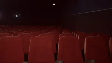 Sinemalarda 2020 Yaz Sezonu Pratikte İptal Oldu 4 Sinemalarda 2020 Yaz Sezonu Pratikte İptal Oldu