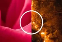 Mercedes'in Çevreci Reklam Kampanyası Parodi Konusu Oldu