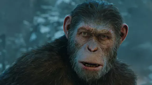 Maymunlar Cehennemi'nin Yeni Filmi İçin Hazırlıklar Başladı