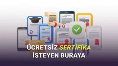 Ücretsiz Sertifika Alınabilen Uygulamalar (Uzmanlaşacak Pek Çok Alan Var)