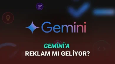 Google Yöneticisinden Resmi Açıklama: Gemini'ye Reklam Gelecek mi?