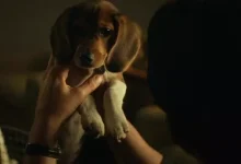 John Wick Serisinin Yönetmenleri 'Wick'in Köpeği'ni Anlattı