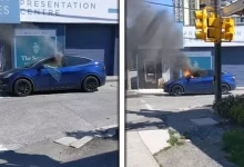 Tesla Model Y, Durup Dururken Cayır Cayır Yandı [Video]