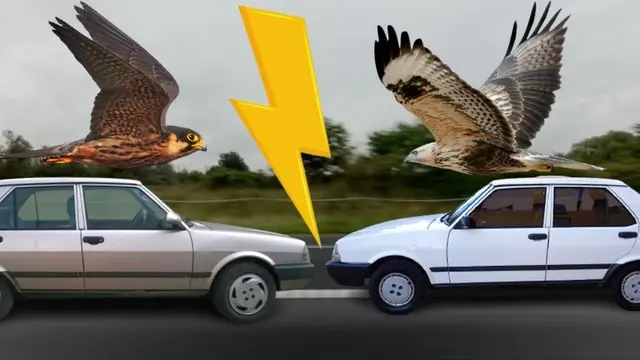 Tofaş Şahin ve Doğan Arasındaki Farklar Neler? 1 Tofaş Şahin ve Doğan Arasındaki Farklar Neler?