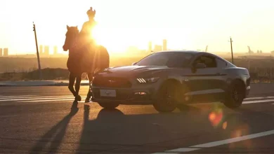 Tork Nedir, Beygir Gücünden Ne Farkı Var? 3 Tork Nedir, Beygir Gücünden Ne Farkı Var?