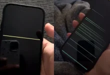 iPhone 14 Pro Ekranında 'Yeşil Çizgi' Sorunu Ortaya Çıktı