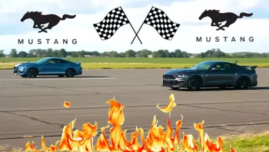 Mustang Shelby GT500 ve CS850GT Tozu Dumana Kattı