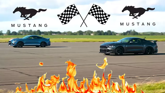 Mustang Shelby GT500 ve CS850GT Tozu Dumana Kattı