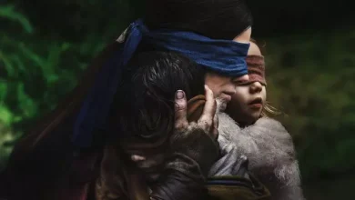 Netflix Filmi Bird Box’ın Devamı Hakkında Tüm Detaylar
