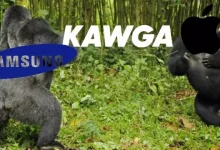 Samsung'dan 'Kavga Çıkarma Garantili' Reklam Filmi