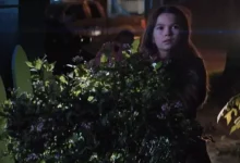 Home Before Dark'ın Gösterime Gireceği Tarih Belli Oldu