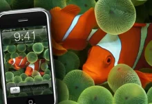 Apple'ın Sadece 1 Kez Gösterdiği Duvar Kağıdı iOS 16'da!