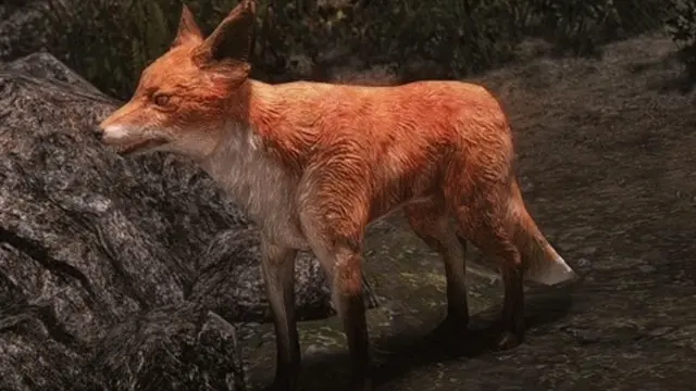 Skyrim'de Yıllardır Çözülemeyen Tuhaf Bir Bilmece Çözüldü