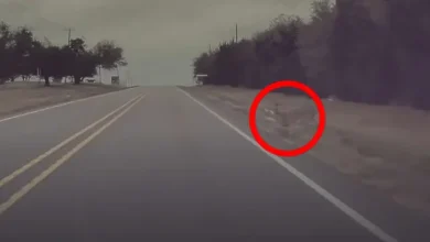 Model S'in Otonom Sürüş Sisteminin Kazayı Engellediği An 11 Model S'in Otonom Sürüş Sisteminin Kazayı Engellediği An