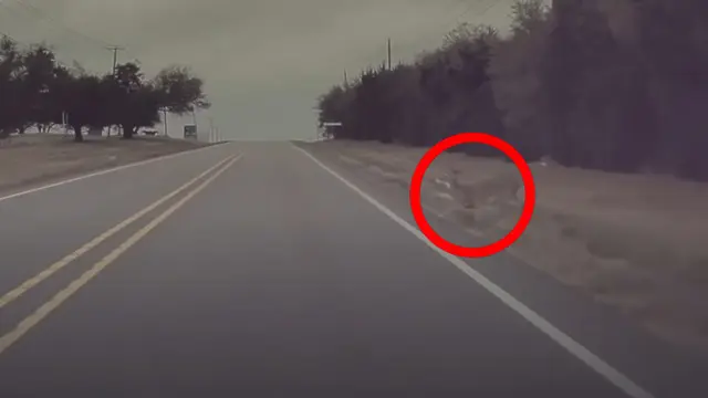 Model S'in Otonom Sürüş Sisteminin Kazayı Engellediği An