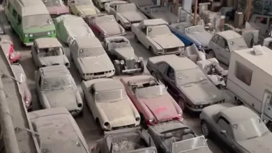 Ahırda Bulunan 175 Klasik Otomobil, Açık Artırmaya Çıkacak