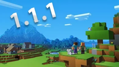 Minecraft 1.1.1 Sürümü Gün Yüzüne Çıktı