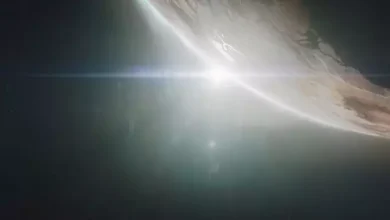 Starfield, Xbox ve PC Özel Oyunu Olacak