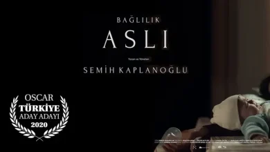 Oscar Adayı 'Bağlılık - Aslı' Filmi Gişede Umduğunu Bulamadı