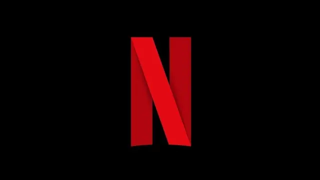 Netflix'in Hisse Senetleri Düşüşe Geçti