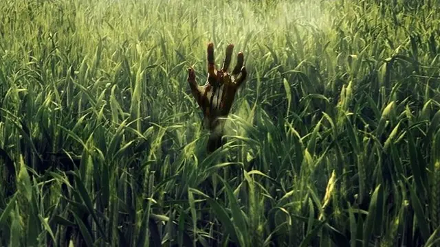 Netflix, ‘In The Tall Grass’ın Fragmanını Yayınladı
