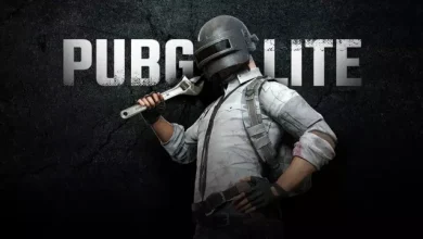Çorba Parasını Çıkaramadık: PUBG Lite Resmen Sona Erdi