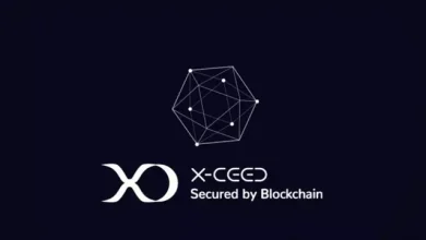 Renault, Blokzincir Çözümü XCEED'i Duyurdu