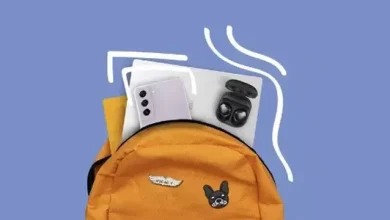 Samsung, Galaxy S21 FE'yi Kendi Kendine Sızdırdı