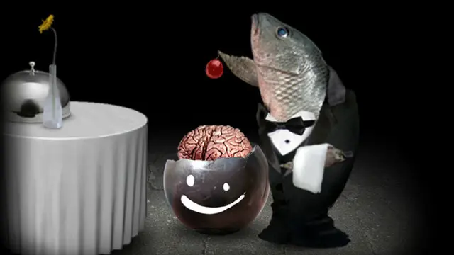 Flash Player Tabanlı Mitoza, iOS, Android ve PC İçin Yayında