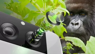 Corning Glass Kamera Kurulumlarını Hakkını Vererek Koruyacak